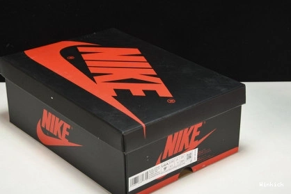 Chenille Jordan OG Newstalgia High 1 DJ4891-061 0810